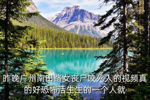 昨晚廣州南田路女喪尸咬死人的視頻真的好恐怖活生生的一個(gè)人就