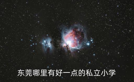 東莞哪里有好一點的私立小學