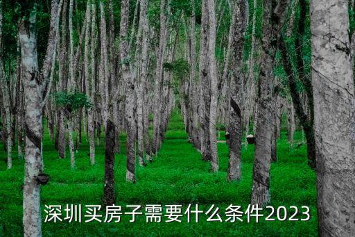 深圳買房子需要什么條件2023