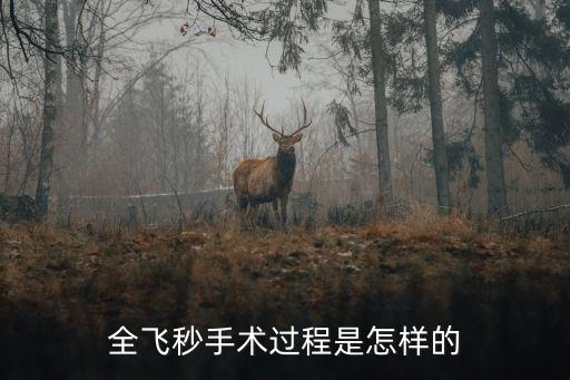 全飛秒手術過程是怎樣的
