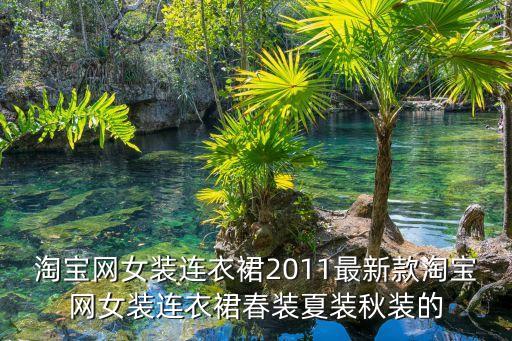 淘寶網女裝連衣裙2011最新款淘寶網女裝連衣裙春裝夏裝秋裝的