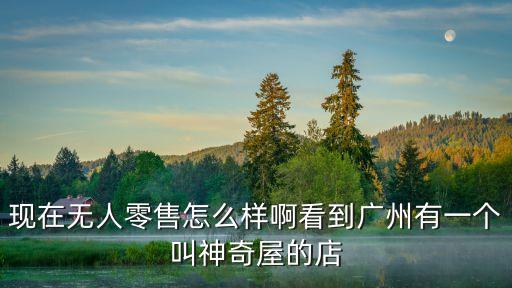 現在無人零售怎么樣啊看到廣州有一個叫神奇屋的店