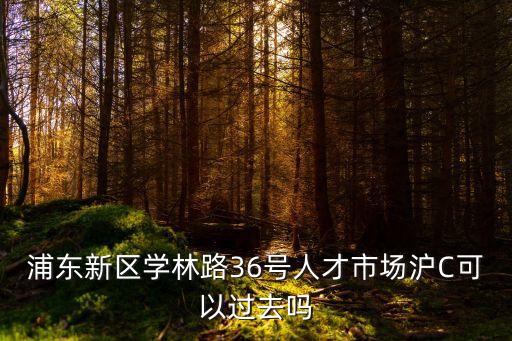 浦東新區(qū)學(xué)林路36號(hào)人才市場(chǎng)滬C可以過(guò)去嗎