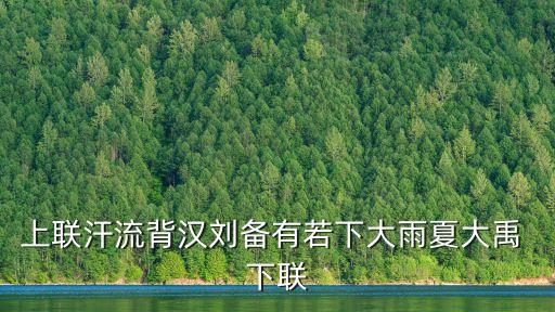 上聯汗流背漢劉備有若下大雨夏大禹 下聯