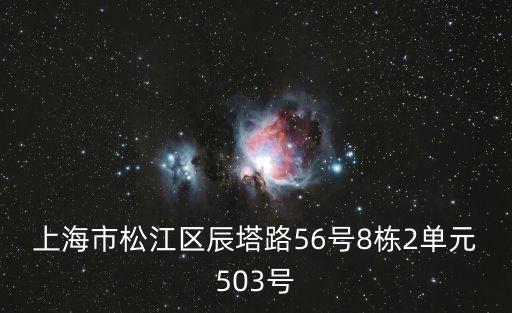 上海市松江區(qū)辰塔路56號8棟2單元503號