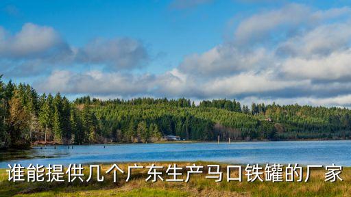 東莞深圳月餅盒，誰能提供幾個廣東生產馬口鐵罐的廠家