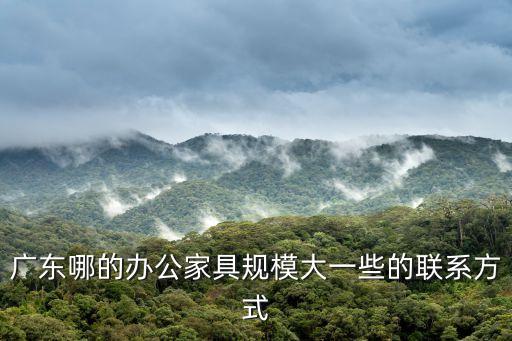 廣東哪的辦公家具規(guī)模大一些的聯(lián)系方式