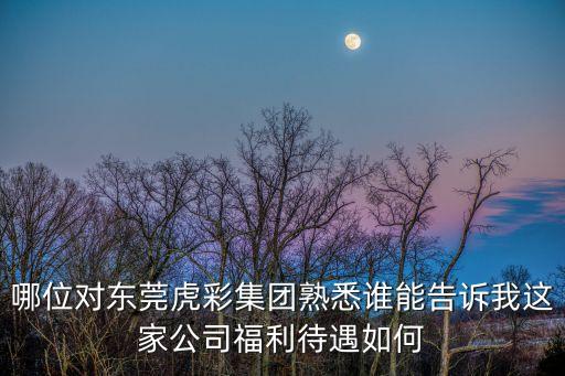 哪位對(duì)東莞虎彩集團(tuán)熟悉誰能告訴我這家公司福利待遇如何