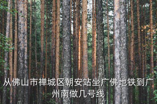 朝安地鐵去到廣州南，從佛山市禪城區朝安站坐廣佛地鐵到廣州南做幾號線