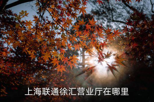 上海市徐匯區 聯通漕河涇數據中心，上海徐匯區聯通營業廳