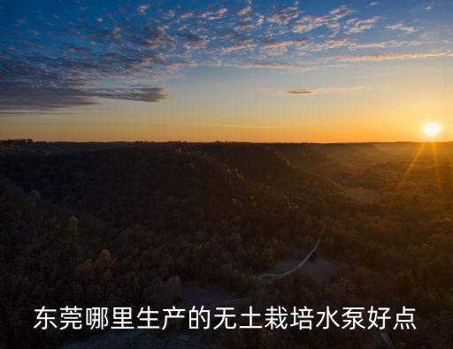東莞哪里生產的無土栽培水泵好點