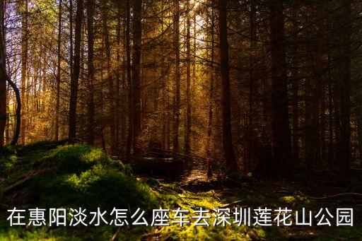 惠州到深圳蓮花山怎么，在惠陽淡水怎么座車去深圳蓮花山公園
