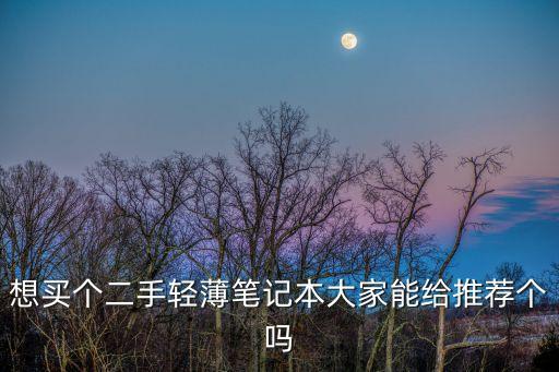 想買個二手輕薄筆記本大家能給推薦個嗎