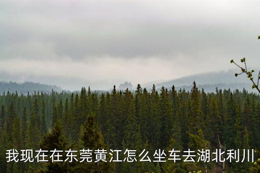 我現在在東莞黃江怎么坐車去湖北利川