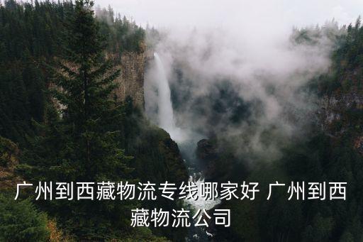 廣州到西藏物流專線哪家好 廣州到西藏物流公司