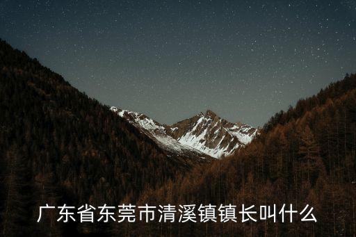 廣東省東莞市清溪鎮鎮長叫什么