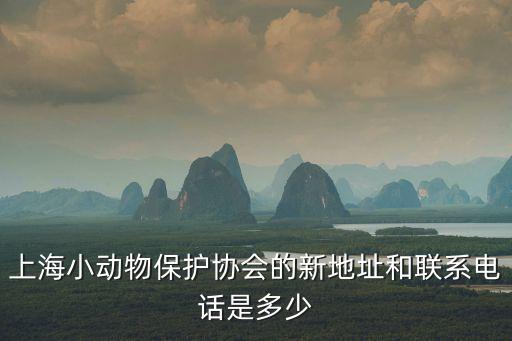 上海小動物保護(hù)協(xié)會的新地址和聯(lián)系電話是多少