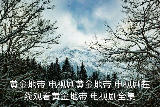 黃金地帶 電視劇黃金地帶 電視劇在線觀看黃金地帶 電視劇全集