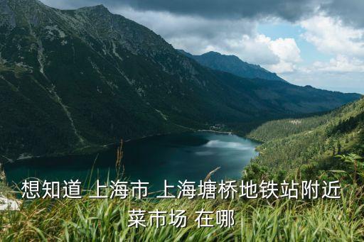 上海市塘橋地鐵站附近商場，想知道 上海市 上海塘橋地鐵站附近菜市場 在哪