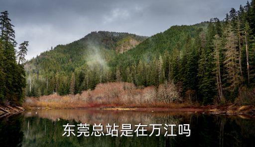 2023年東莞萬江總站規劃，東莞總站是在萬江嗎