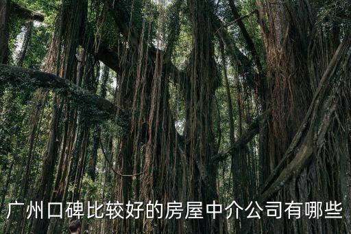 廣州樂陶居地產(chǎn)經(jīng)紀(jì)人，廣州口碑比較好的房屋中介公司有哪些