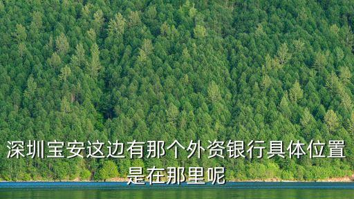 深圳寶安這邊有那個外資銀行具體位置是在那里呢
