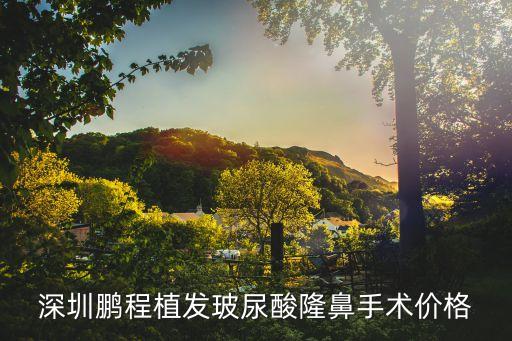 深圳鵬程植發玻尿酸隆鼻手術價格