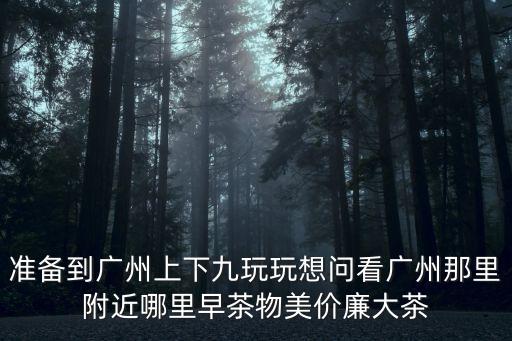 準備到廣州上下九玩玩想問看廣州那里附近哪里早茶物美價廉大茶
