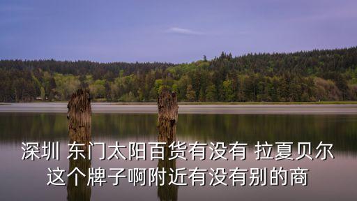 拉夏貝爾深圳，拉夏貝爾深圳哪里有店