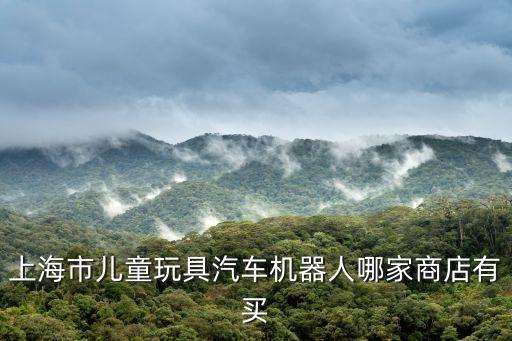 上海市兒童玩具汽車機器人哪家商店有買