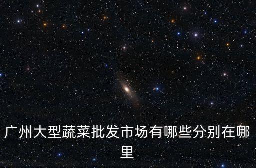 廣州蔬菜批發(fā)公司，廣州有哪些蔬菜批發(fā)市場(chǎng)
