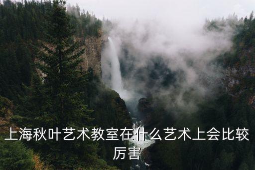上海市秋葉藝術(shù)教室，上海秋葉藝術(shù)教室是不是只收小孩呢