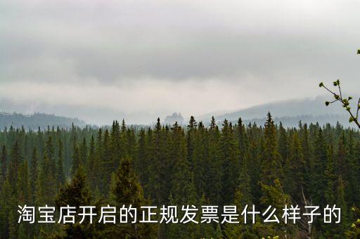 淘寶店開啟的正規發票是什么樣子的