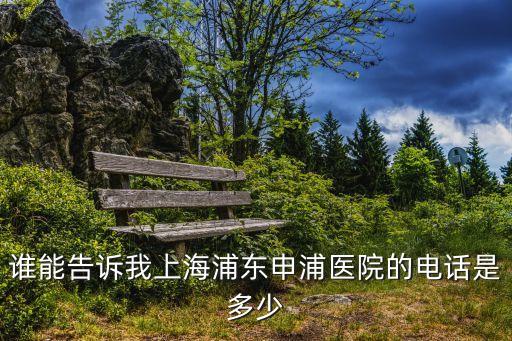 誰能告訴我上海浦東申浦醫(yī)院的電話是多少