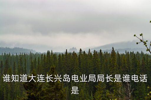 廣州南沙電業局電話，大連電業局和交煤氣費的地址誰知道