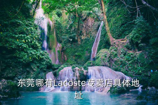 東莞拉丁舞蹈服專賣店，東莞那里有賣兒童拉丁舞服裝