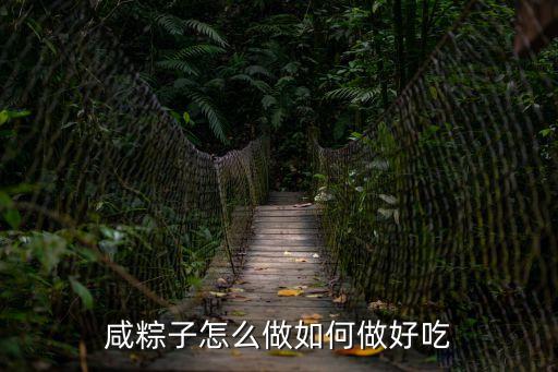 咸粽子怎么做如何做好吃