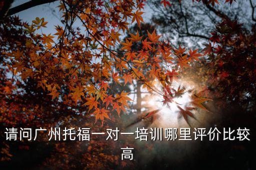 請問廣州托福一對一培訓哪里評價比較高