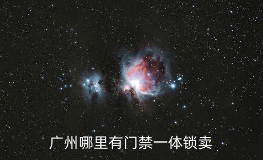 廣州哪里有門禁一體鎖賣