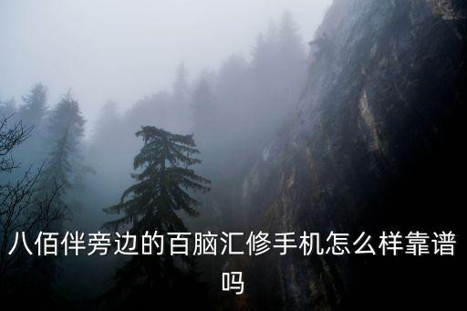 八佰伴旁邊的百腦匯修手機(jī)怎么樣靠譜嗎