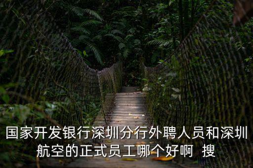 國家開發銀行深圳分行外聘人員和深圳航空的正式員工哪個好啊  搜
