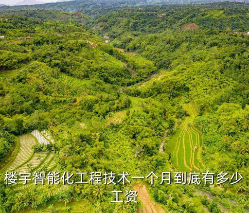 樓宇工程師在深圳月薪，樓宇智能化工程技術(shù)一個(gè)月到底有多少工資
