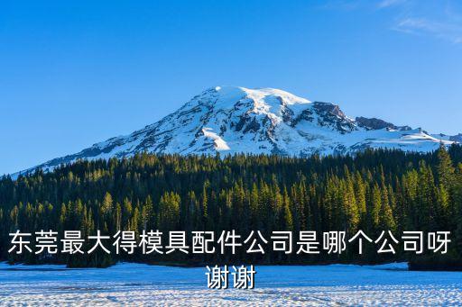 東莞最大得模具配件公司是哪個公司呀謝謝