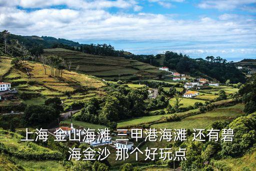 上海 金山海灘 三甲港海灘 還有碧海金沙 那個好玩點