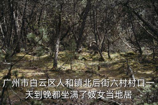 廣州市白云區人和鎮北后街六村村口一天到晚都坐滿了妓女當地居