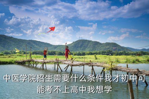 深圳中醫(yī)學(xué)院招生，深圳有中醫(yī)藥大學(xué)嗎