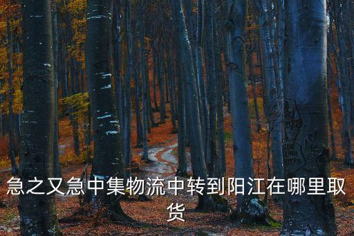 急之又急中集物流中轉到陽江在哪里取貨
