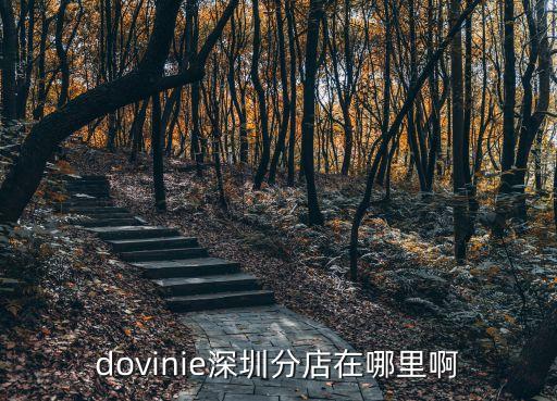 昊杰明公司深圳在哪e，dovinie深圳分店在哪里啊