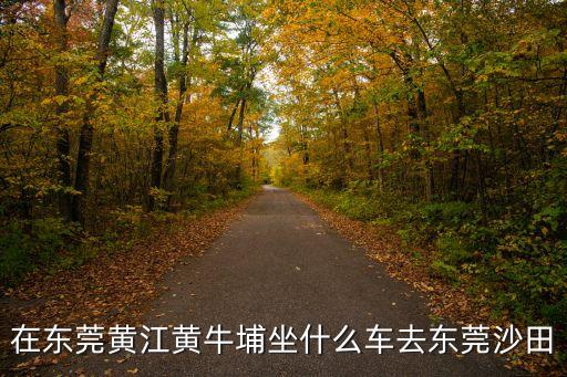 有沒有黃牛能把國四車遷入東莞，國4湛江牌的車能遷來東莞嗎
