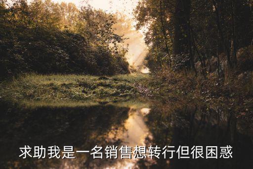 深圳西紅士打暈，求助我是一名銷售想轉行但很困惑